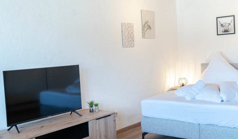 Smart TV_WLAN_WiFi_gemütliches Wohnzimmer